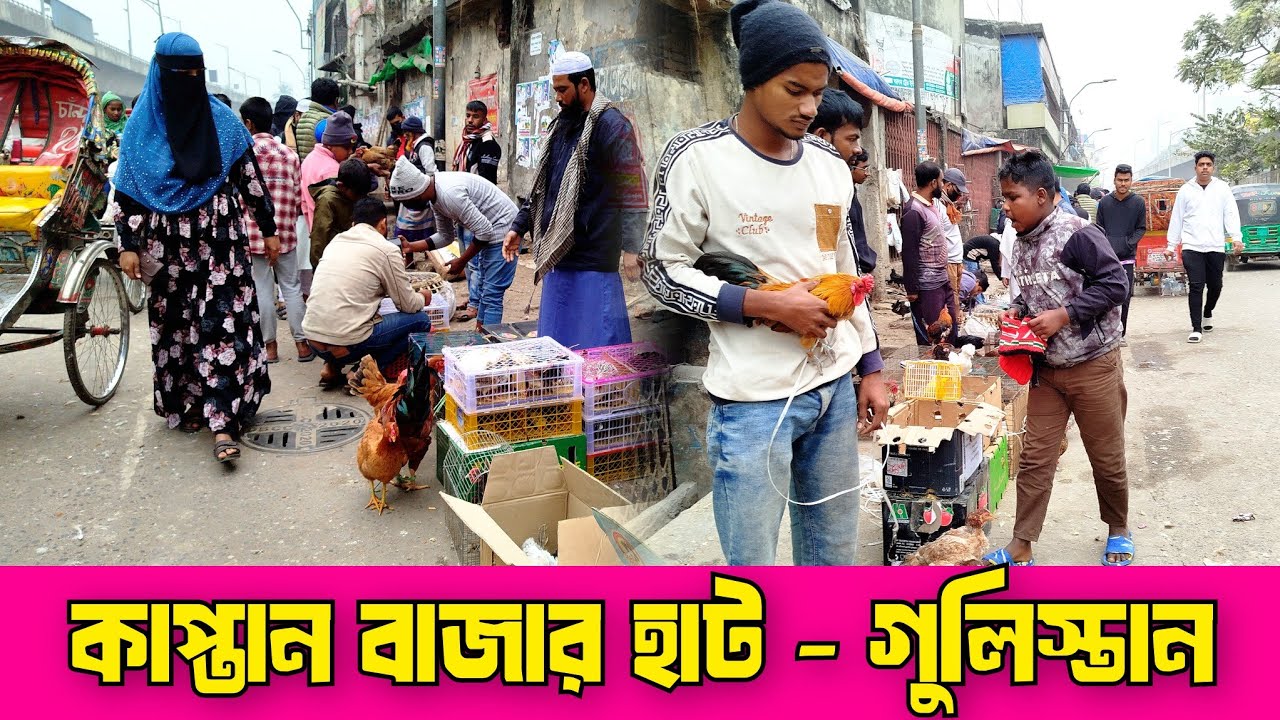 ২৬-১২-২৫ কাপ্তান বাজার হাট। গুলিস্তান কাপ্তান বাজার হাট। ফেন্সি মোরগ মুরগি। Kaptan bazar hat.