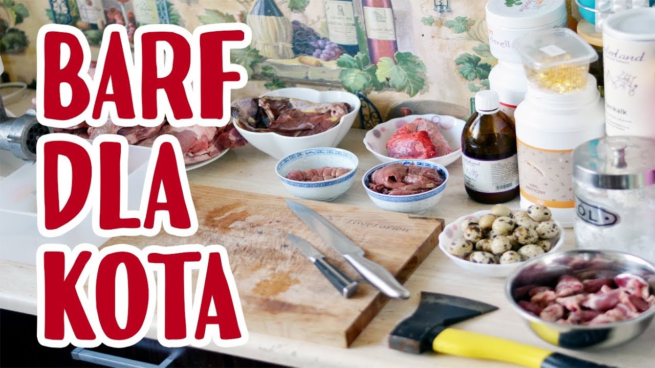 Zobacz, jak łatwo robię pyszną mieszankę BARF dla kota!