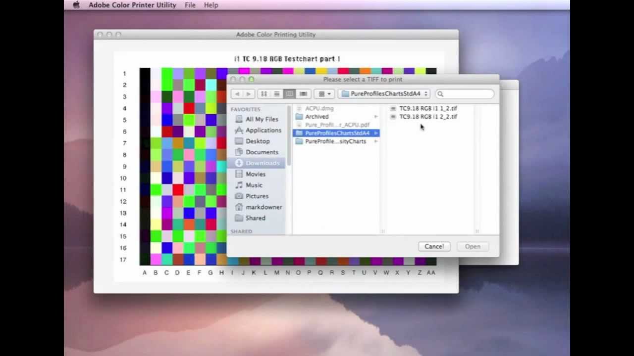Pure Profiles Step 4 - Printing the charts using the Adobe Colour Printer Utility