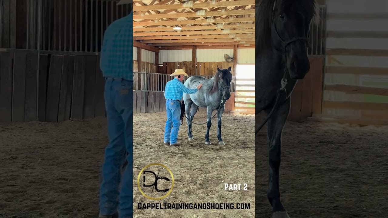 Picking Up Feet Part 2