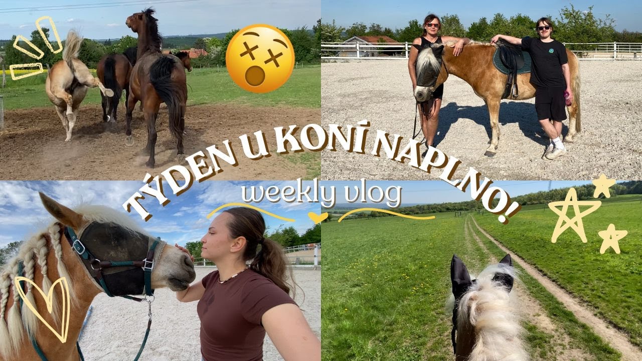 Týden u koní naplno - v terénu, na jízdárně i ze země | WEEKLY VLOG