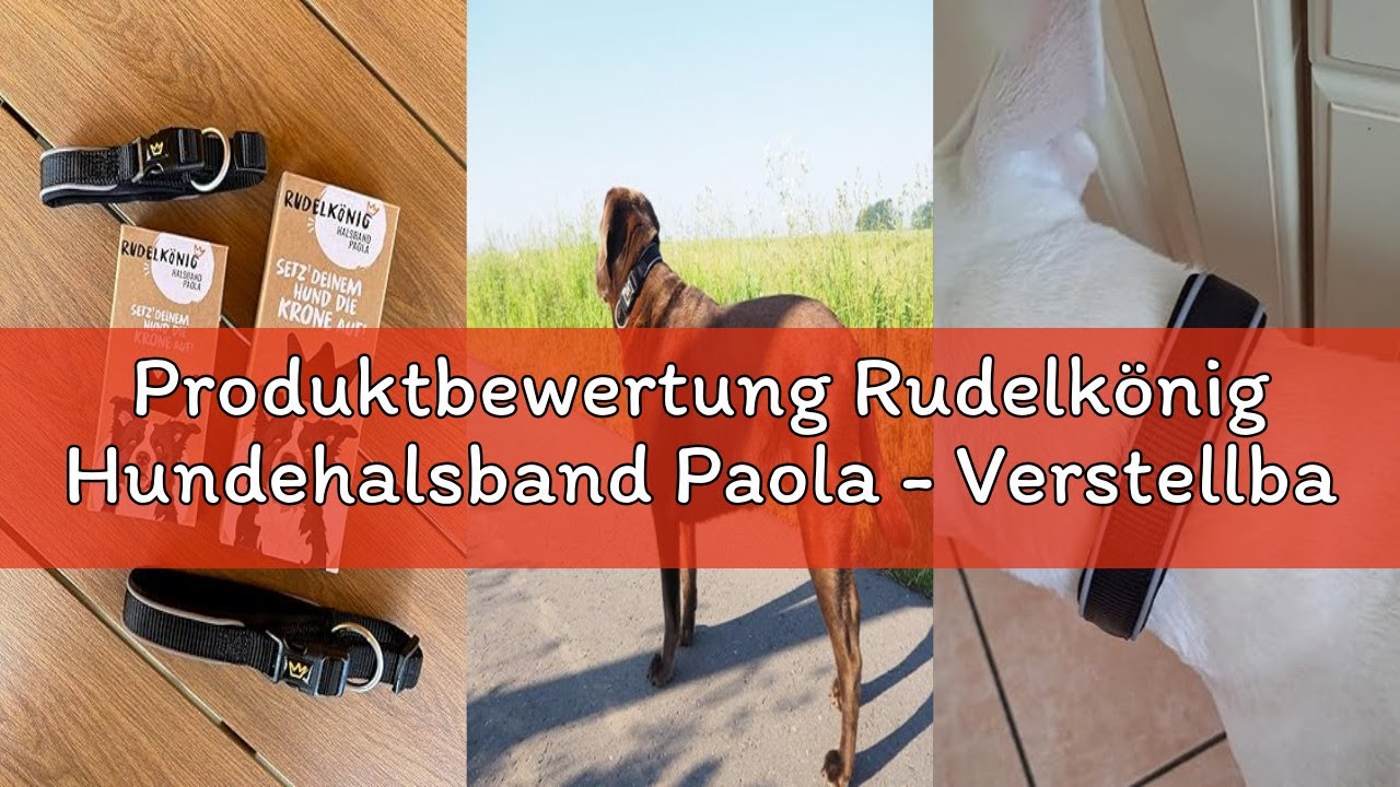 Produktbewertung Rudelkönig Hundehalsband Paola - Verstellbares Hunde Halsband aus Nylon - Reflektie