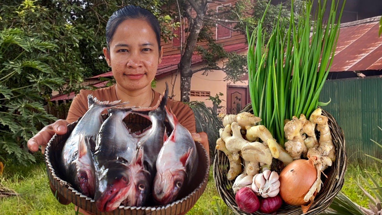Stir-Fried Fish with Ginger | Healthy Asian Ginger Fish Recipe | Easy Homemade Seafood