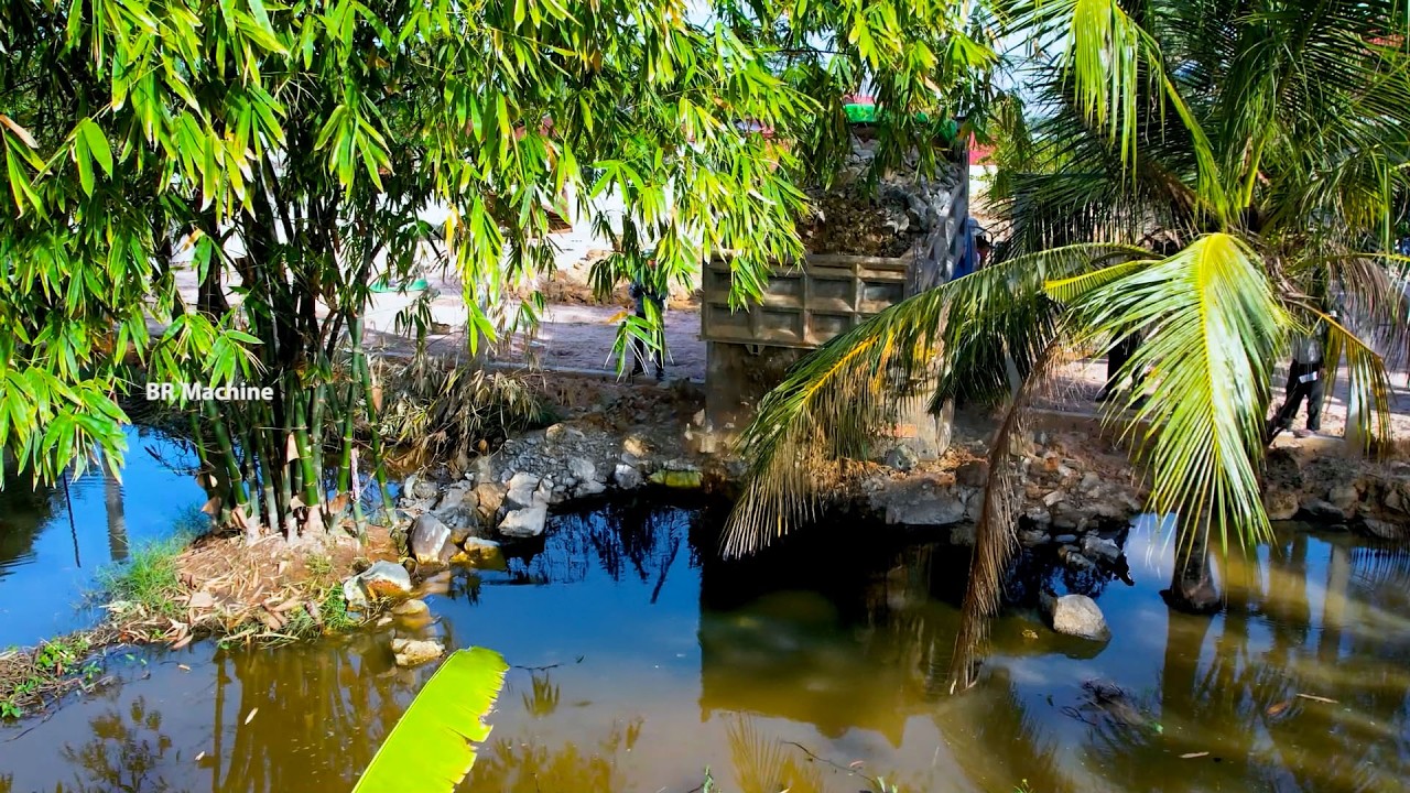 Start the best project the old bulldozer push stone with dump truck for delete the flood pond