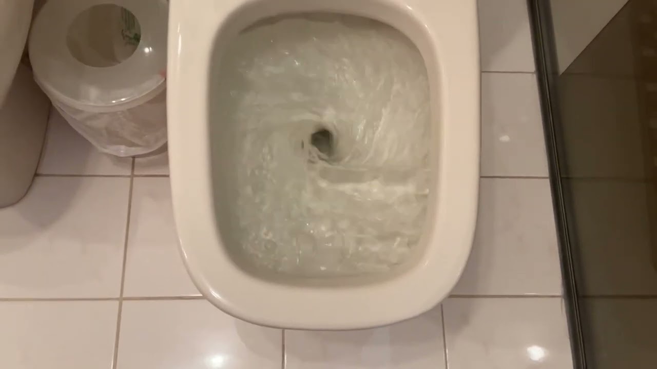Toilets at my other grandmas house