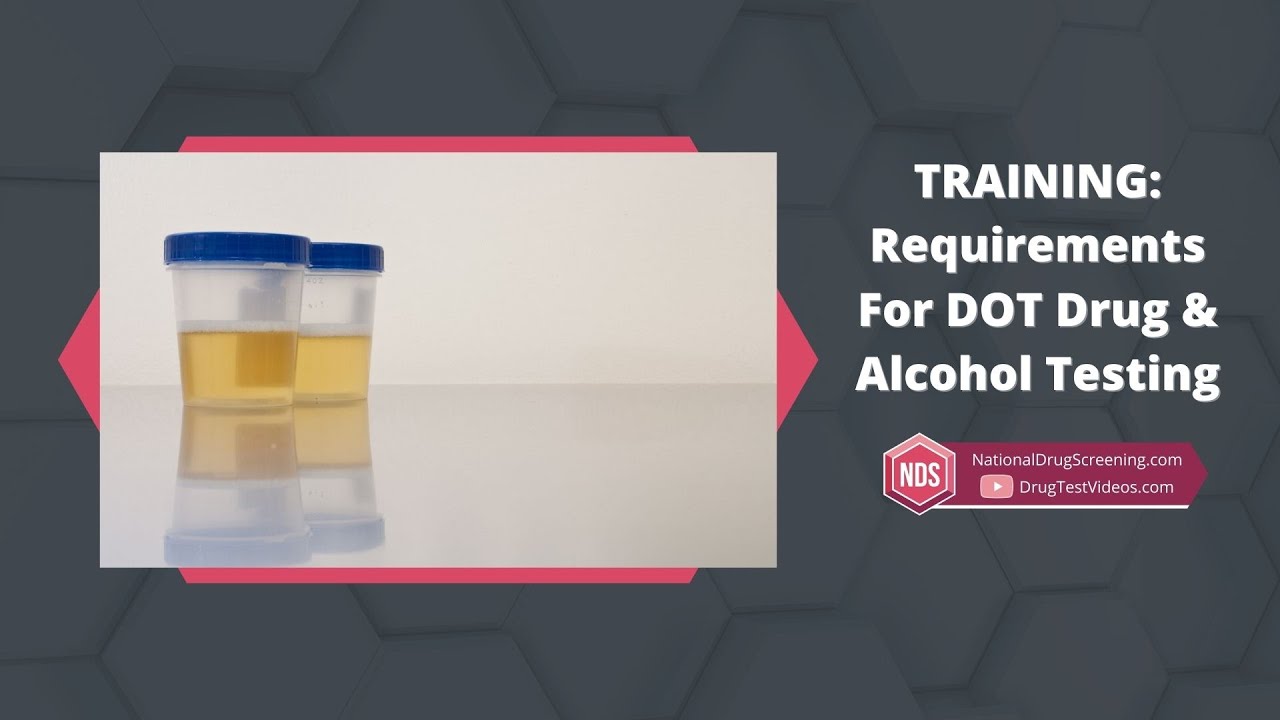 DOT Drug and Alcohol Testing Requirements for Trucking Companies