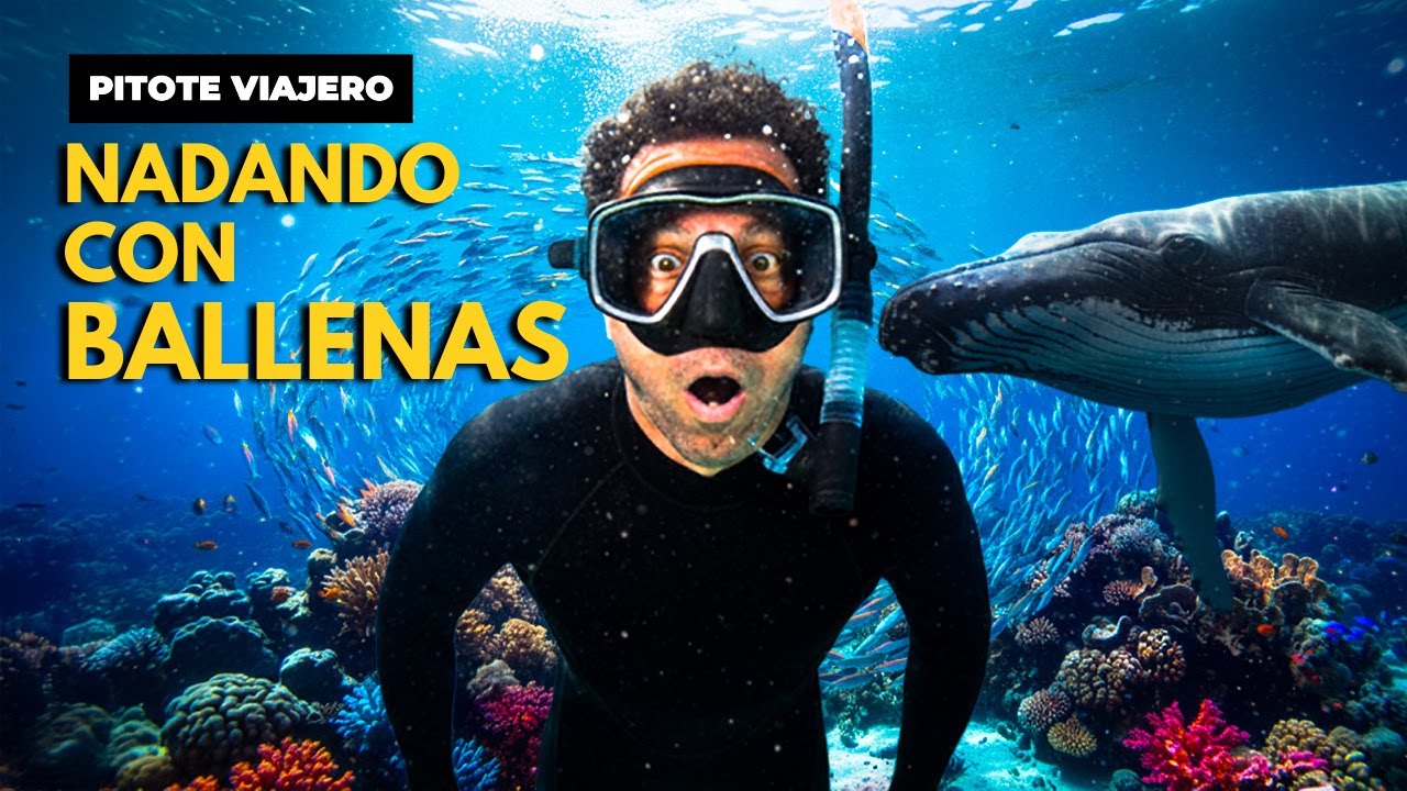 El paraíso donde puedes nadar con ballenas. Así es Tonga.