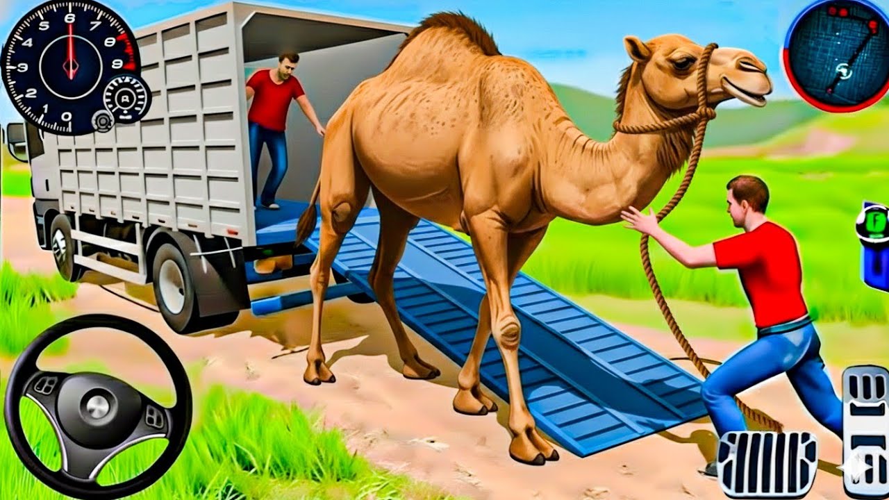 How to Load Camels into a Transport Truck Safely | Full Process #viralvideo 