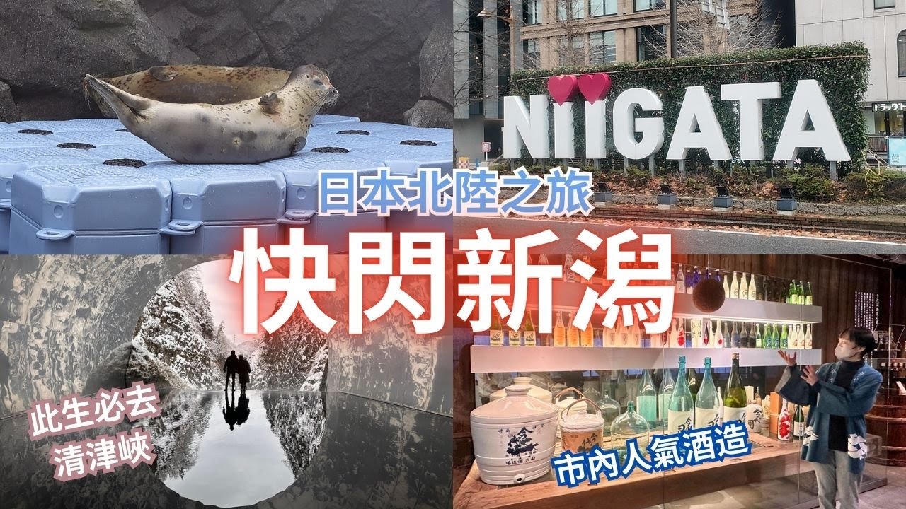 快閃新潟 ︳打卡必去景點清津峽 ︳市內人氣今代司酒造 ︳最近日本海水族館  ︳日本北陸之旅 ft JNTO