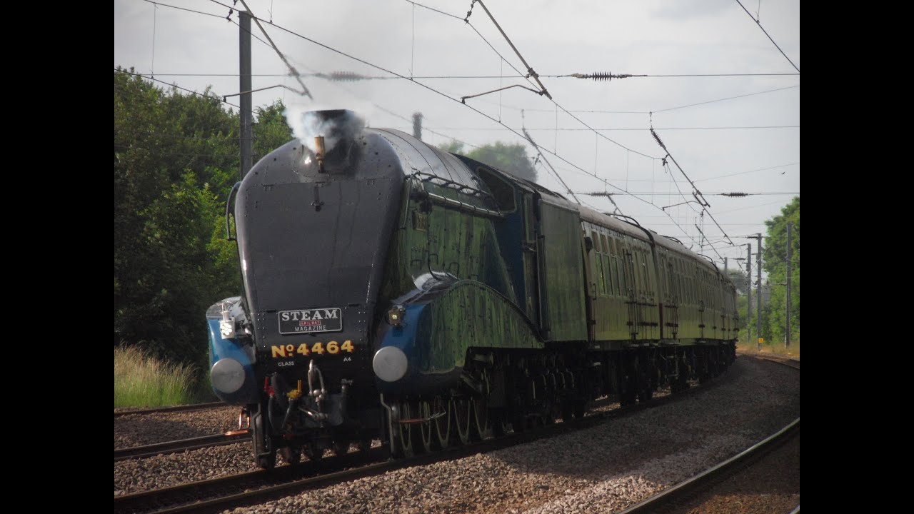 4464 Bittern & the ebor streak FIRST 90mph run through Arlesey & through Peterborough 29/06/13