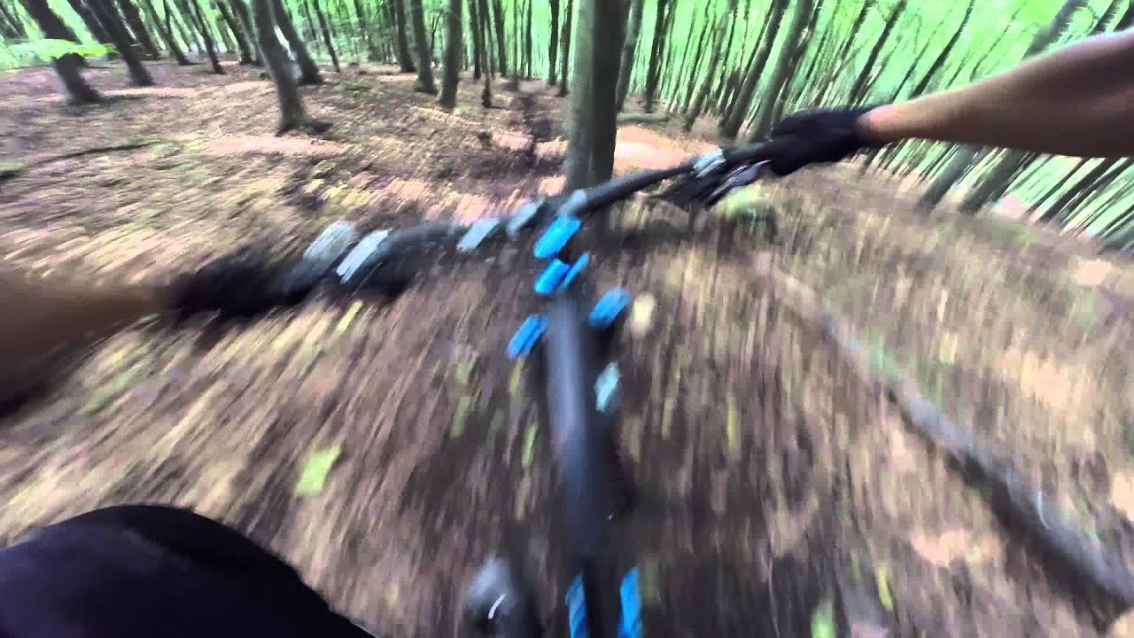burgholz-trail + neuer trail canyon torque ex vertride