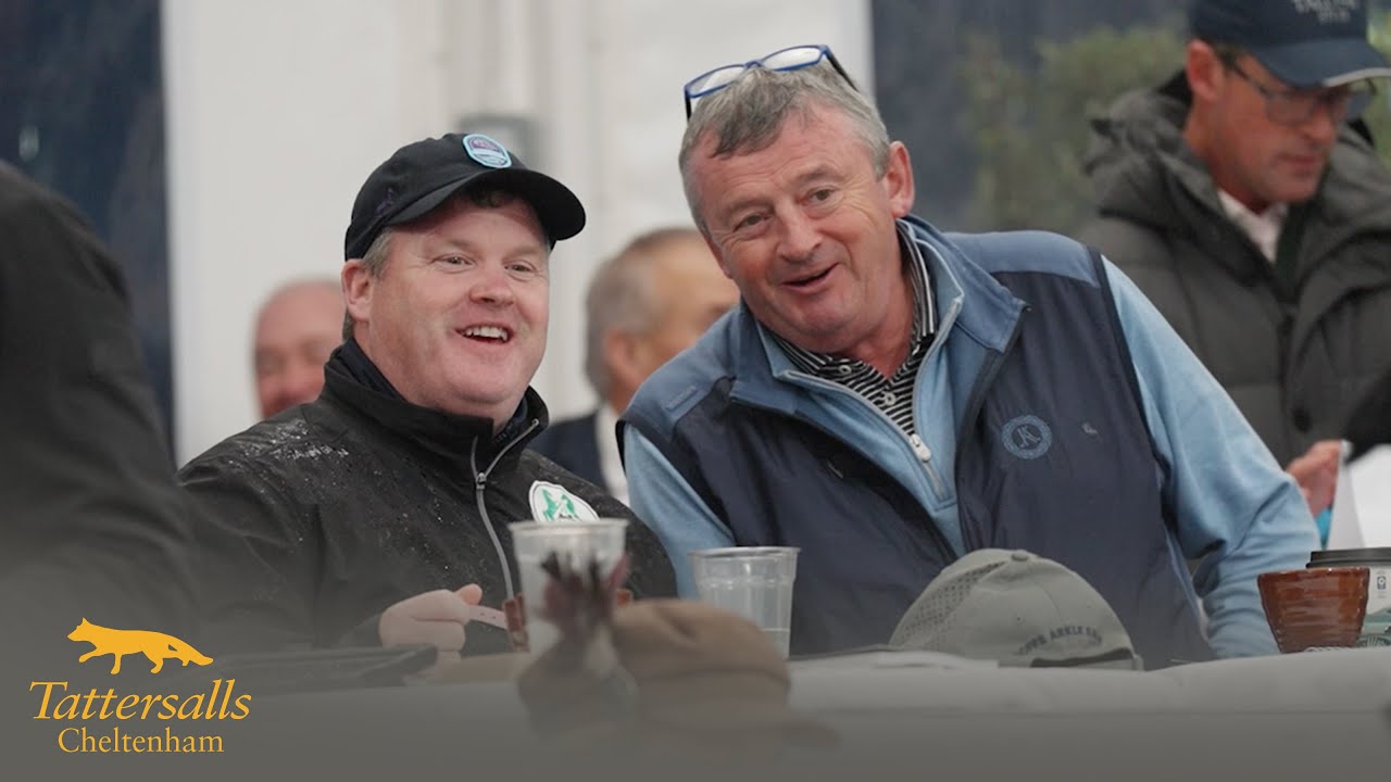 Tattersalls Cheltenham November Sale 2025 Review