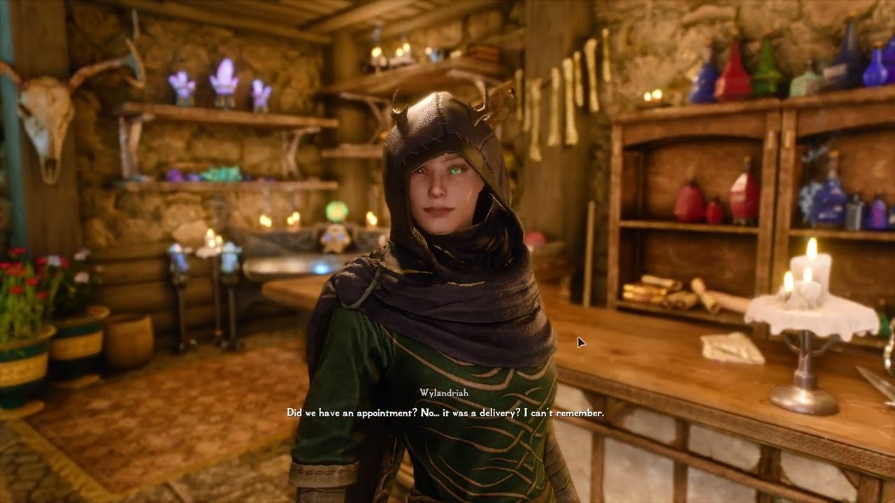 BBQ Community Shader Preset | Skyrim SE