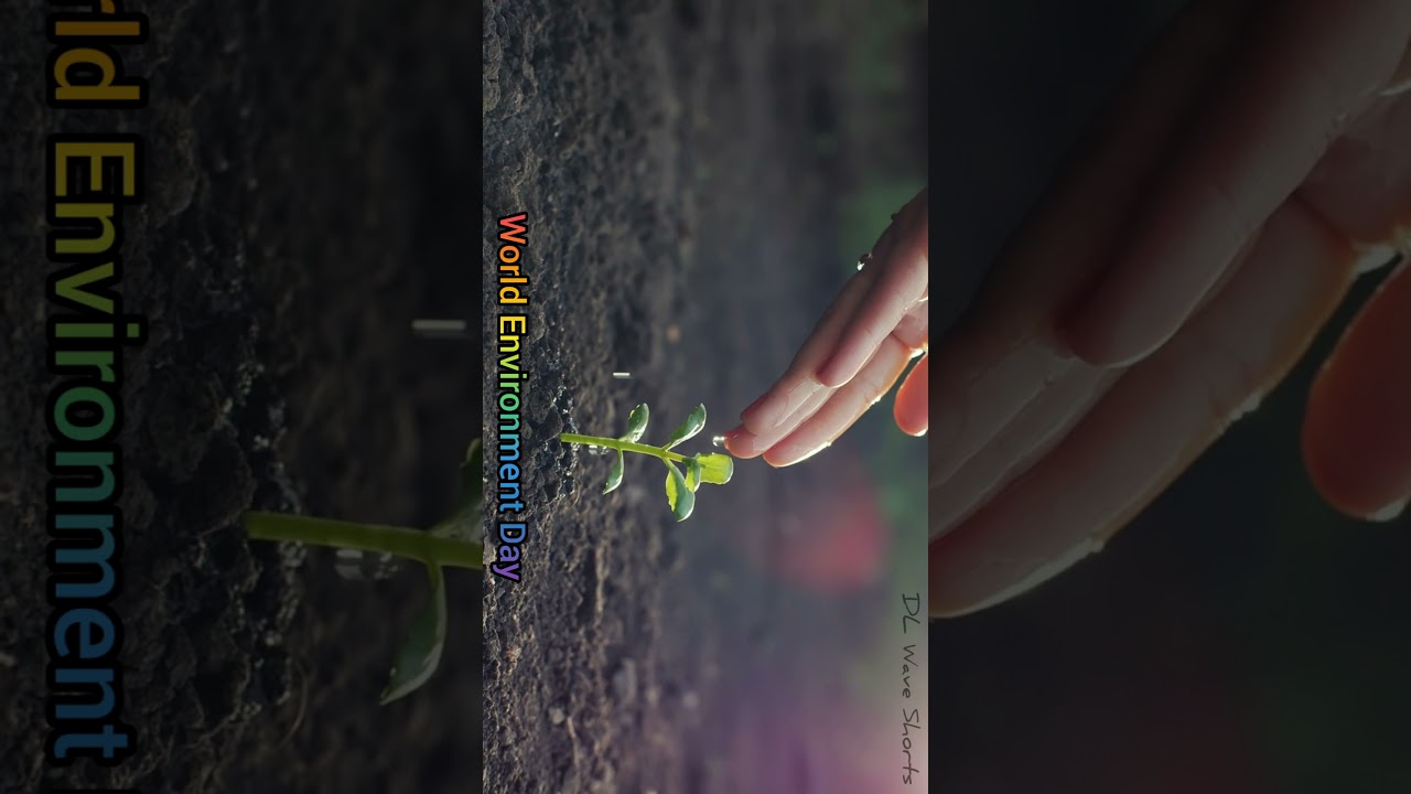 World Environment Day || 5th June || Environment Day Status video || #Shorts_Video || DL Wave Shorts