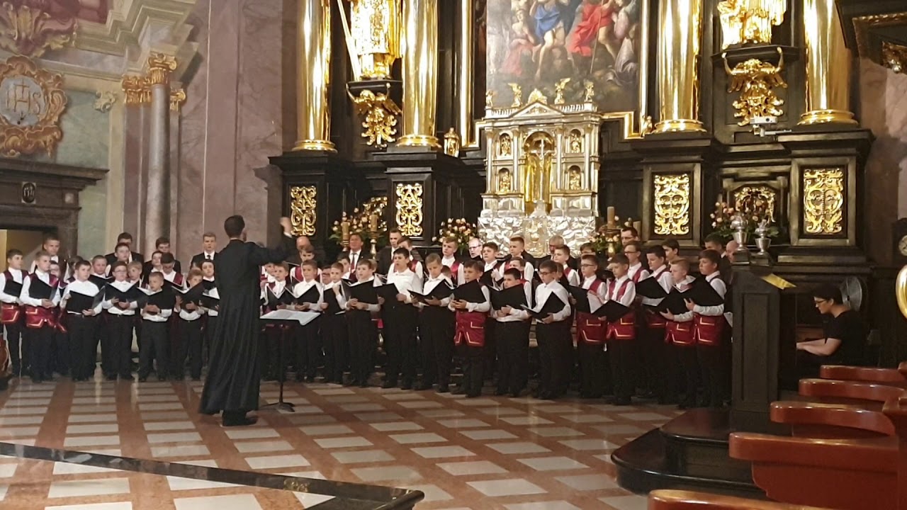 Misericordias Domini - Henryk Jan Botor