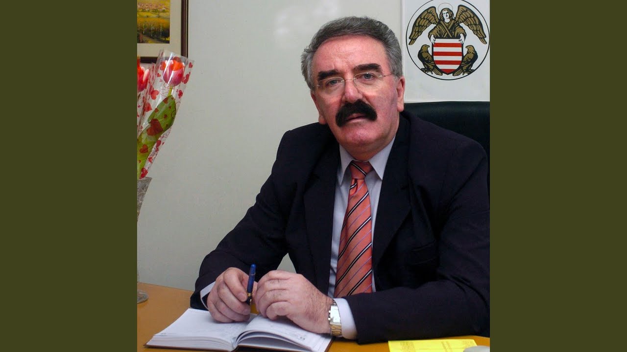 Zavolaj
