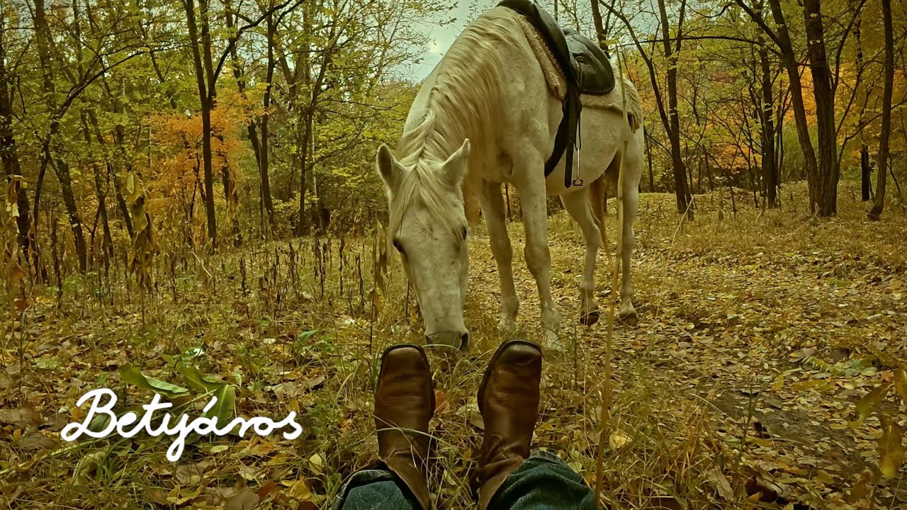 KACAJ - Betyáros (Ló Bádzsit Videoklip)