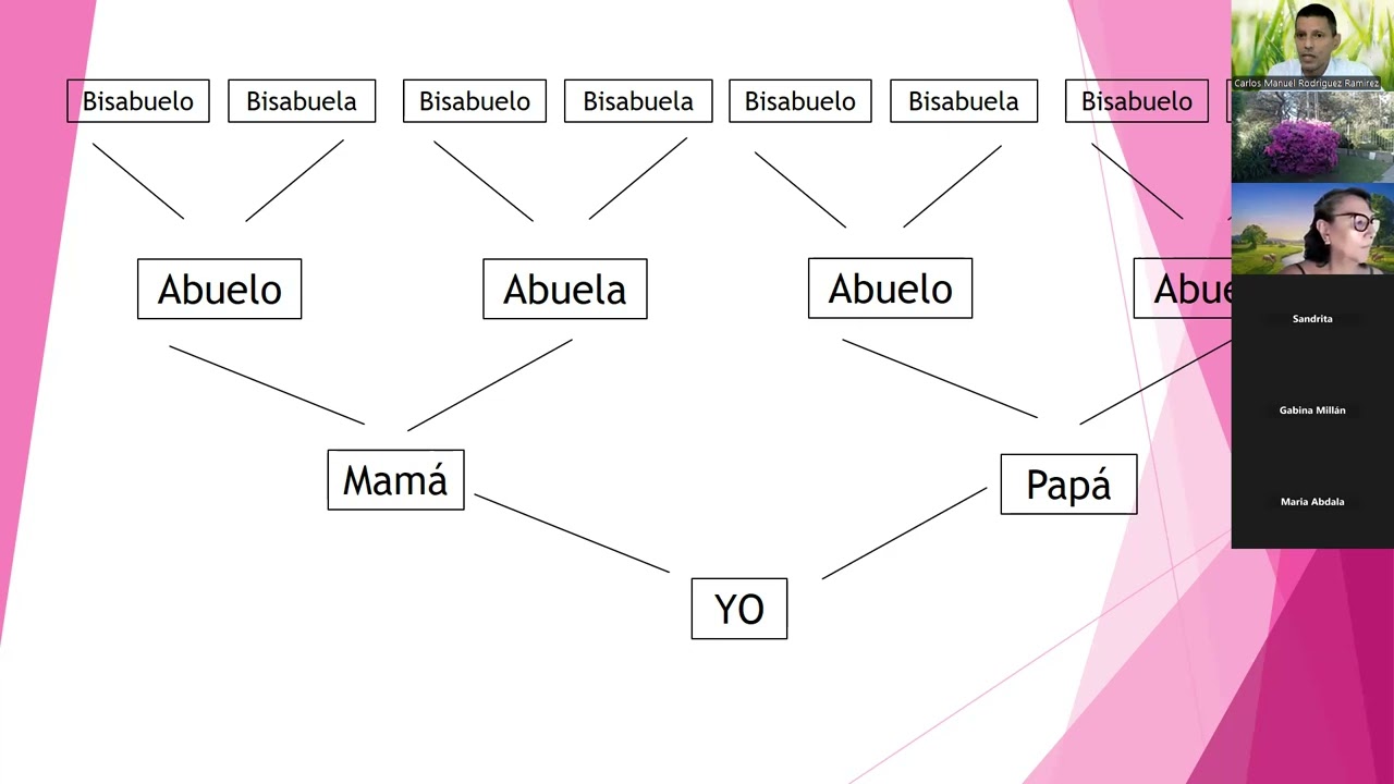 Constelaciones familiares. Ejercicios de consciencia. Parte 2.