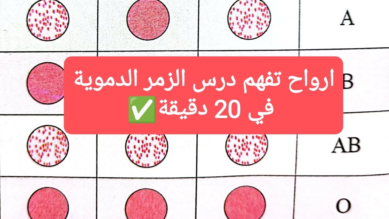 درس الزمر الدموية رابعة متوسط شرح بسيط😉