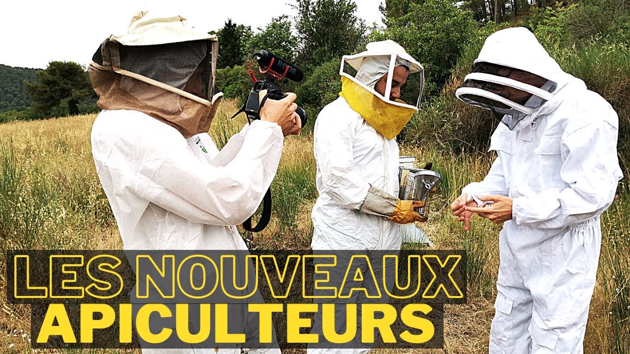 3 jeunes amis (débutants) se lancent dans l'apiculture 🐝 - Partie 1