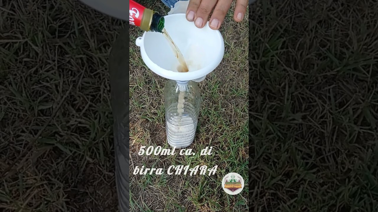 Trappola contro i calabroni con 1 Euro. #agro #farming #garden
