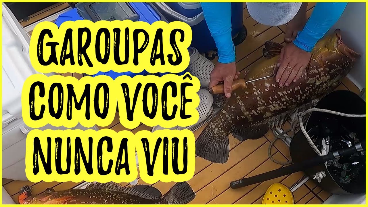 NUNCA PEGOU GAROUPAS? DICAS PARA PEGAR A SUA! [Pescaria de Garoupas Monstras - Barotrauma em Peixes]