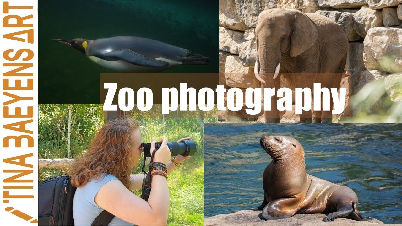 Zoo photography tips | Pairi Daiza Visit with MOM😊