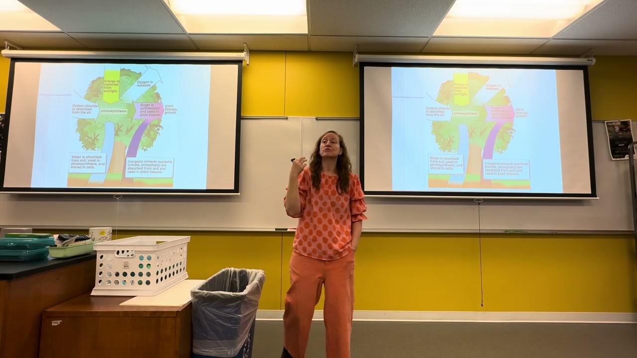 Energy in Ecosystems