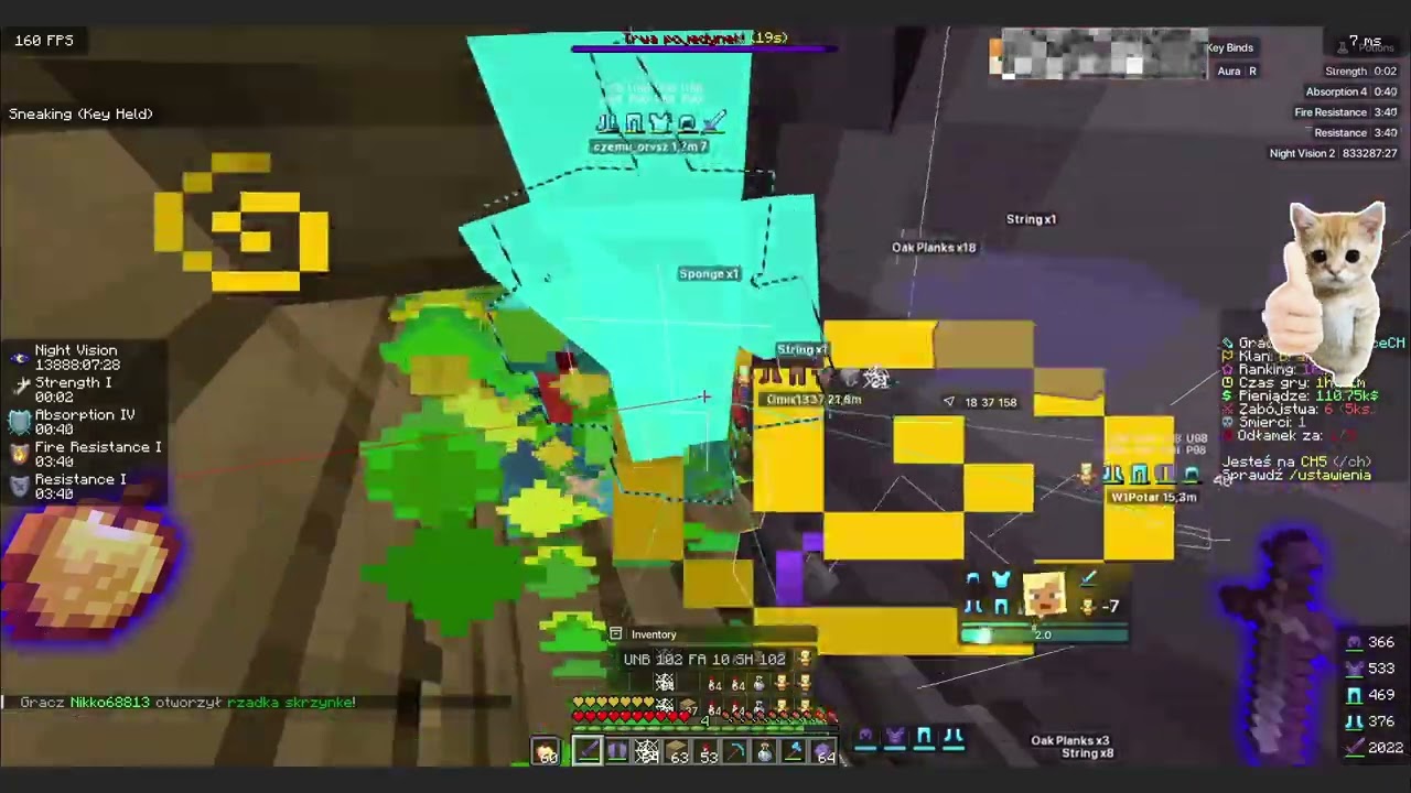 Config na anarchia.gg FT.CatLean