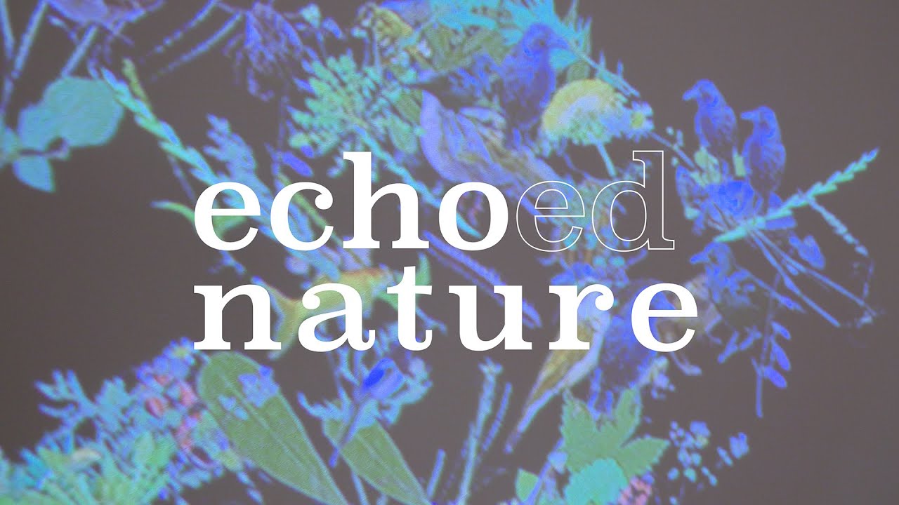 Echoed Nature