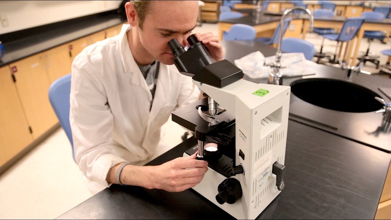 Biological Sciences at American River College