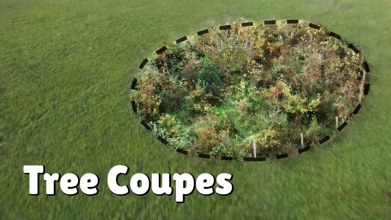 An Effective way of implementing TREES on the FARM!
