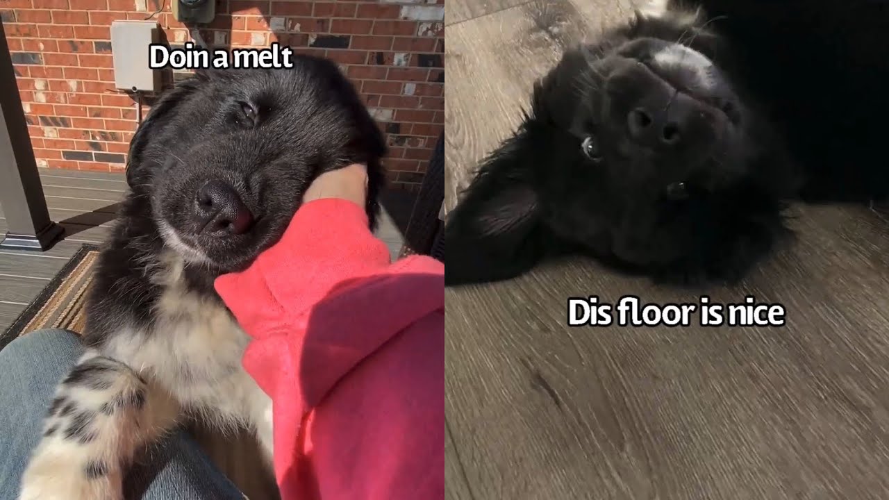 My First 6 Weeks In My New Home