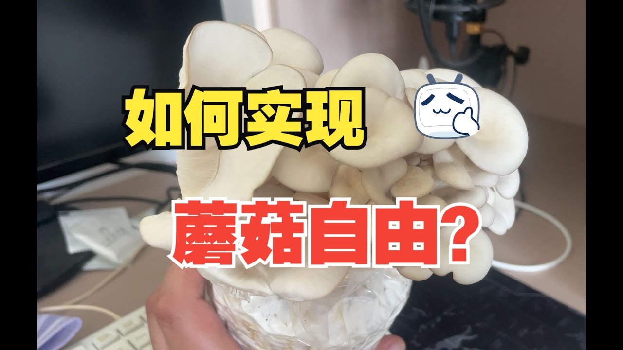 如何实现蘑菇自由？（How to achieve mushroom freedom?）