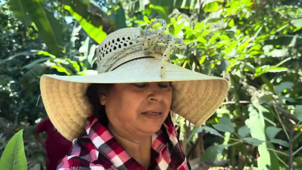 BAJAMOS ala Barranca 