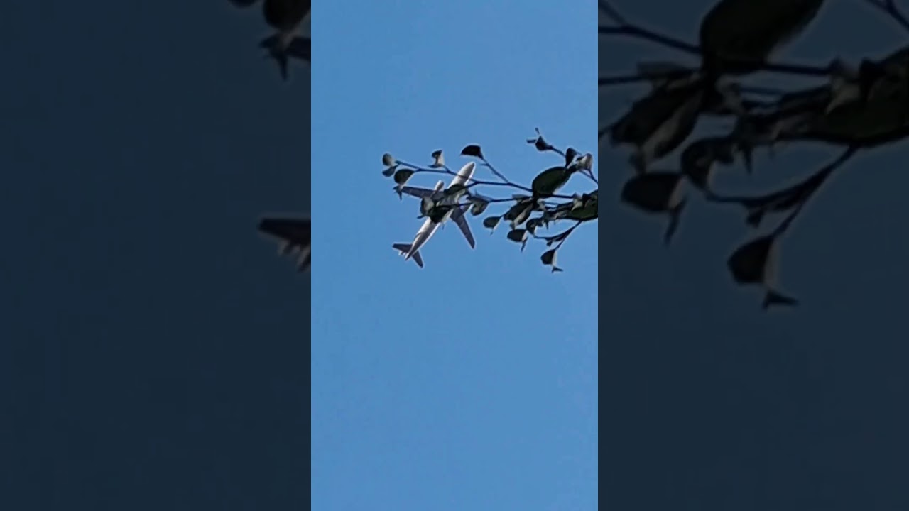 3 Minutos dr Spotters Raros e Tops em SBBE!!! #airplane #aviation #avi&atilde;o #planespottinglfpo