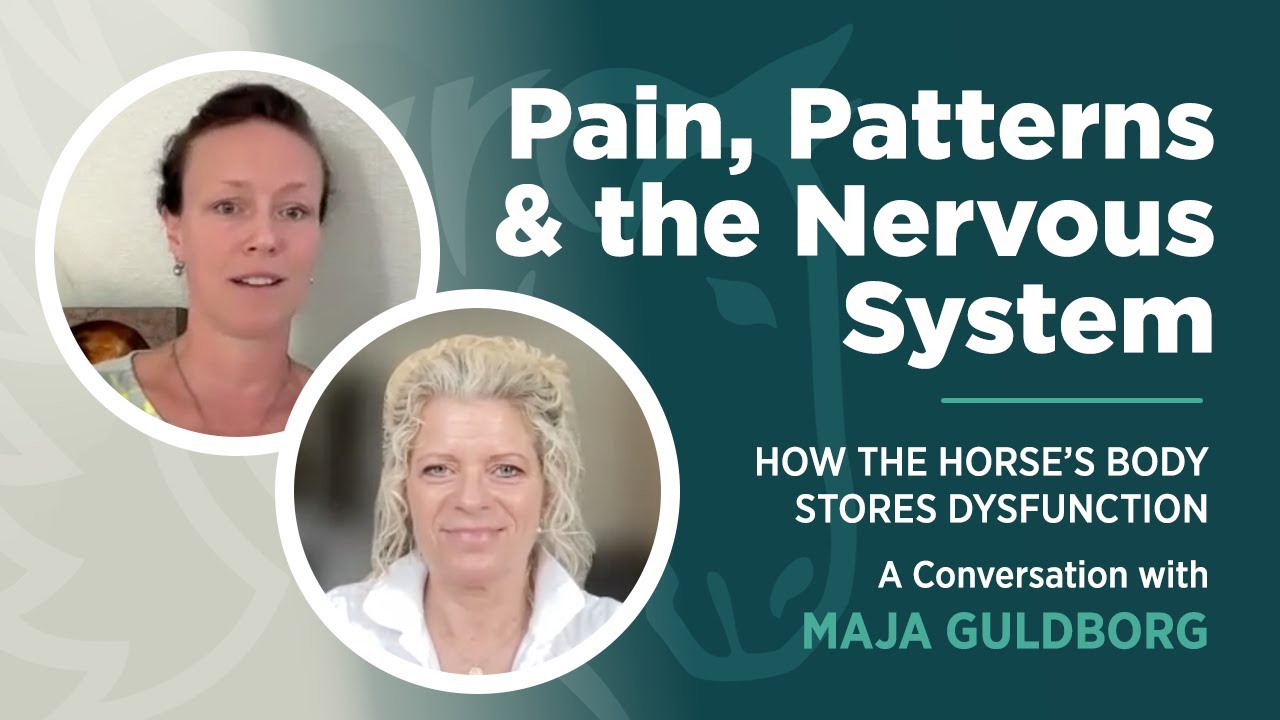 Pain, Patterns & the Nervous System: How the Horse&rsquo;s Body Stores Dysfunction