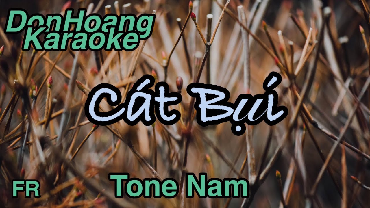 Karaoke Cát Bụi |Tone Nam Nhạc Sống | DonHoang Karaoke