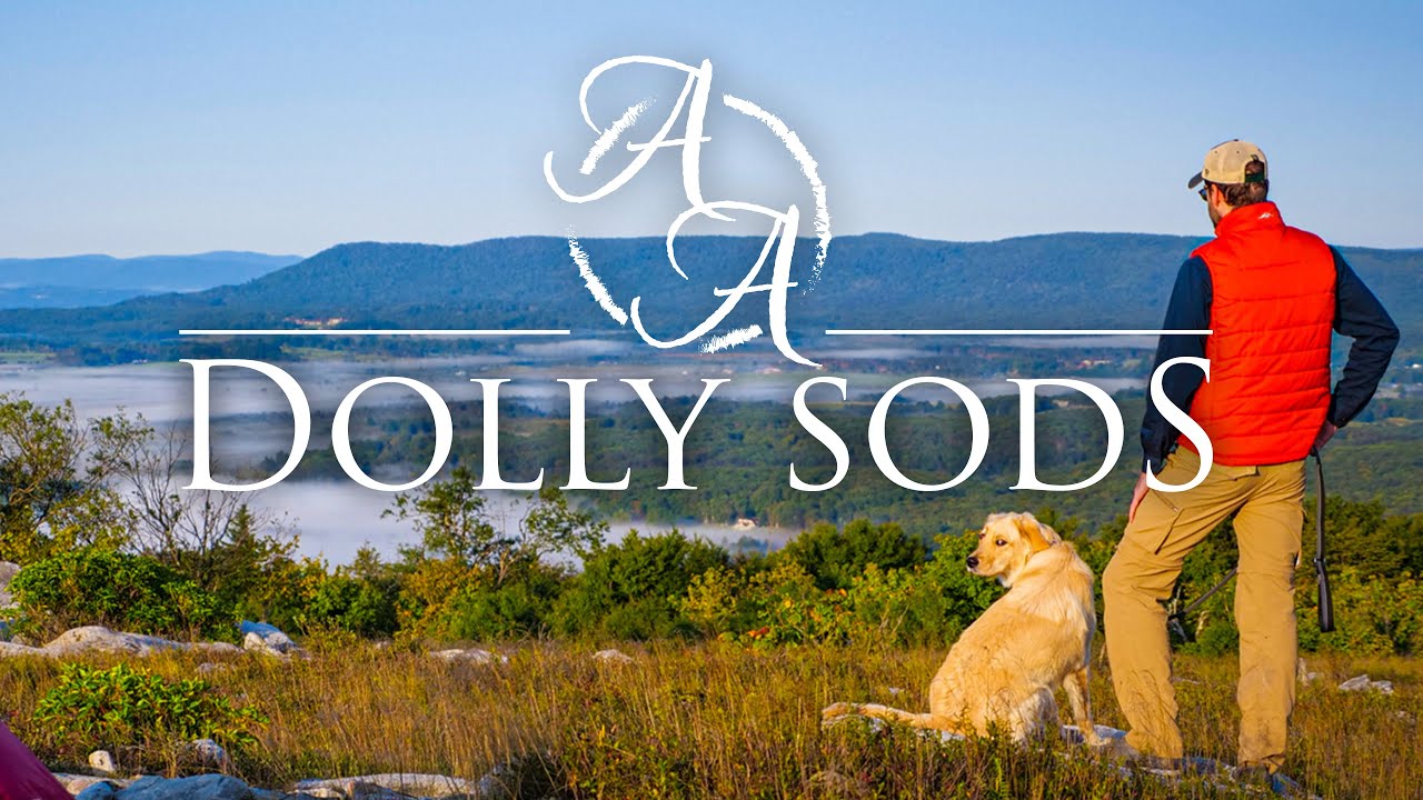 Backpacking With My Dog at Dolly Sods, West Virginia (4K)