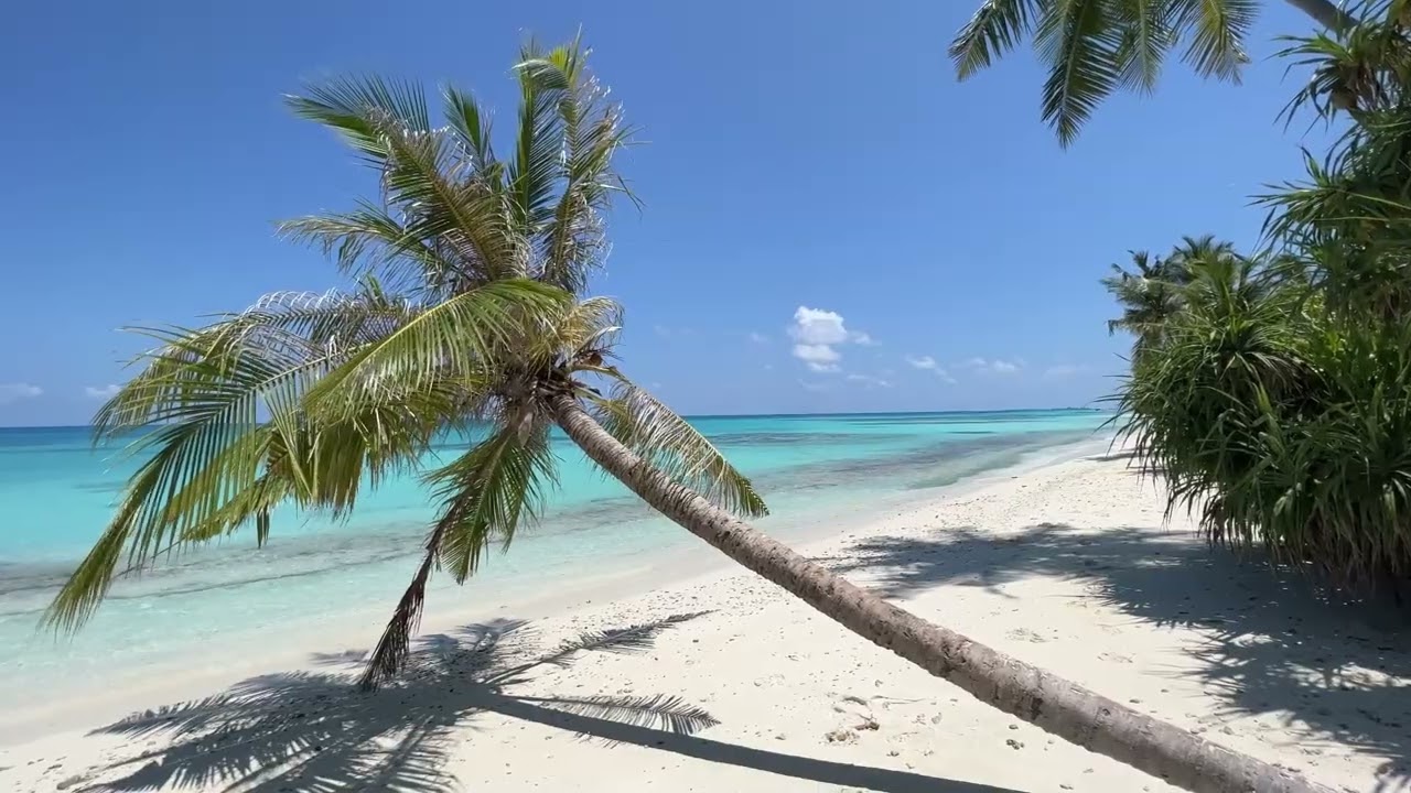 Тропические Морские Волны, Мягкие Волны 🌴🌊 Звуки Пляжа для Сна, Учёбы и Расслабления