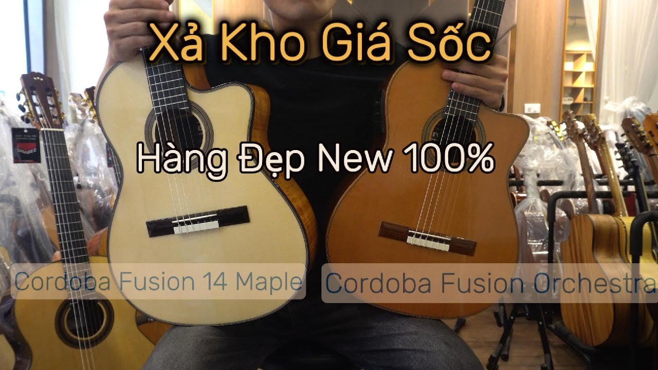 [Xả Kho Guitar Cordoba Giá Sốc] 3 cây Cordoba C7ce, Fusion Orchestra, Fusion 14 Maple (Phần 1)