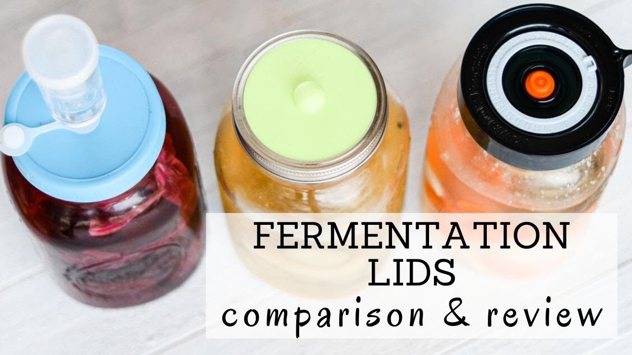 Fermentation Lids Reviews | Bumblebee Apothecary