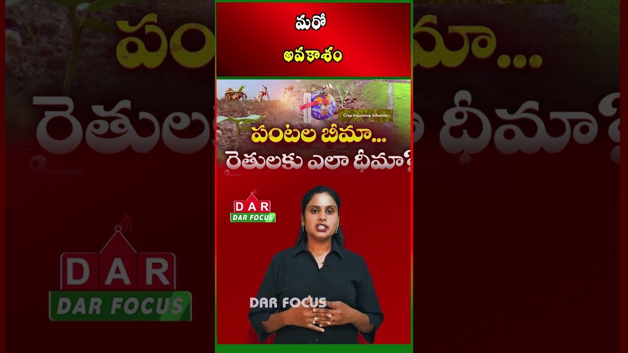 AP Extends Crop Insurance Registration Deadline Till August 15 | Farmers Can Apply Now | DAR FOCUS