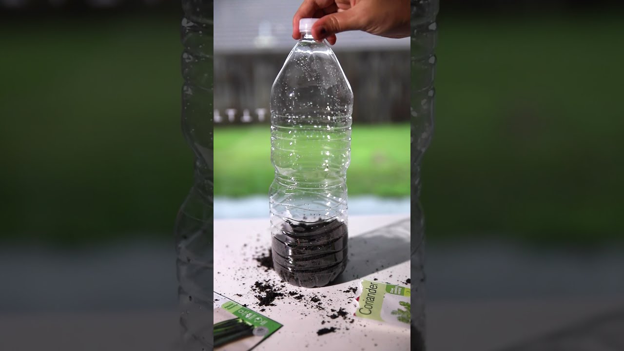 DIY Mini Greenhouse #shorts #greenhouse #scienceclasses #gardening