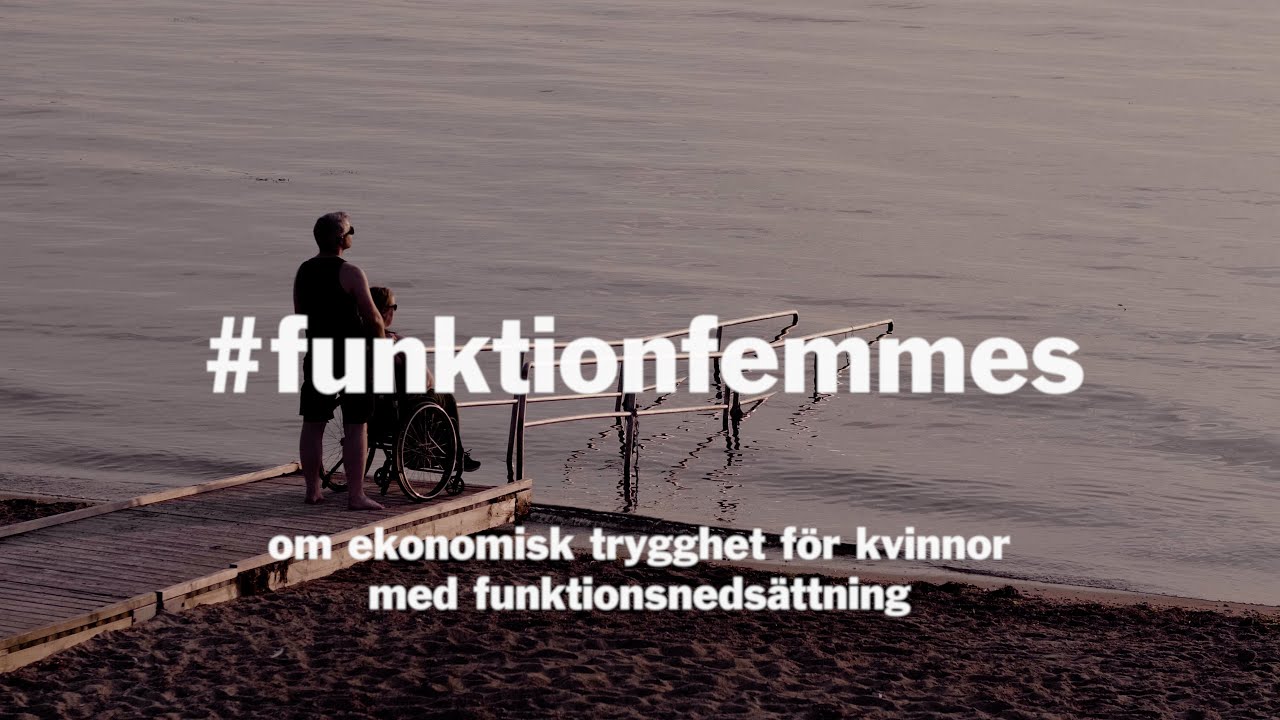 Funktion Femmes - om ekonomisk trygghet f&ouml;r kvinnor med funktionsneds&auml;ttning