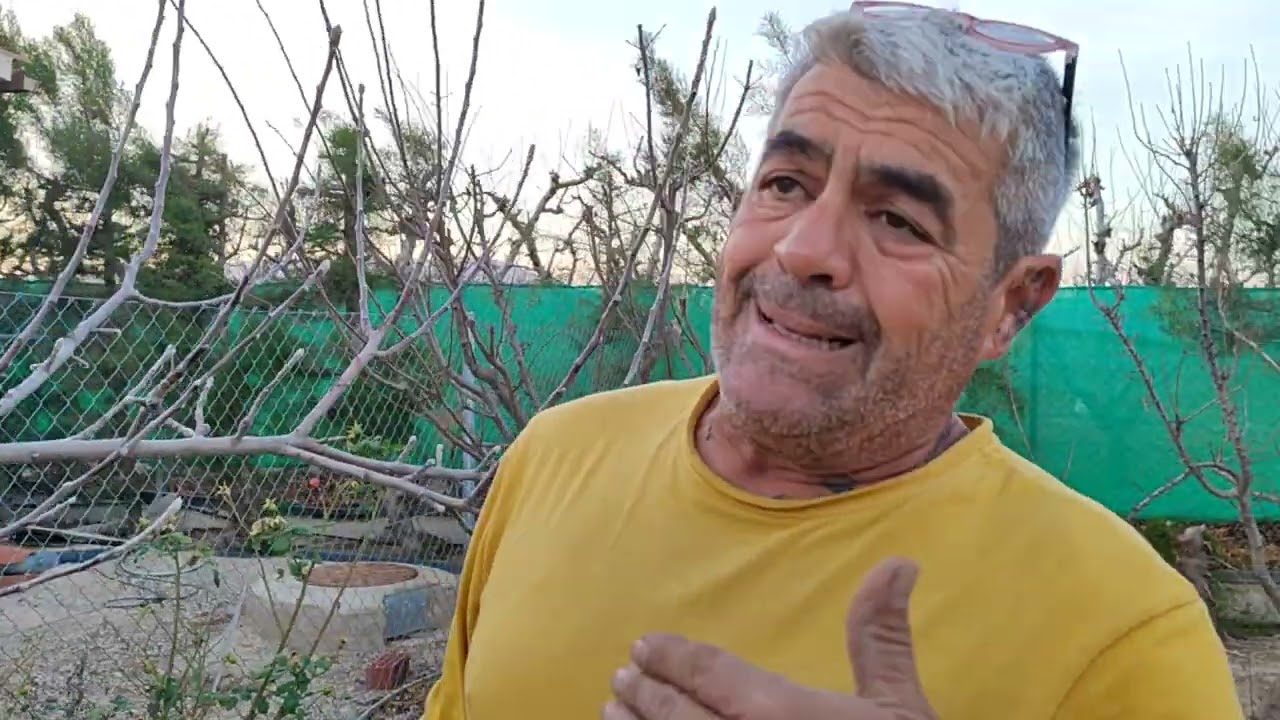 Poda para forzado a producción en manzano de 5 años