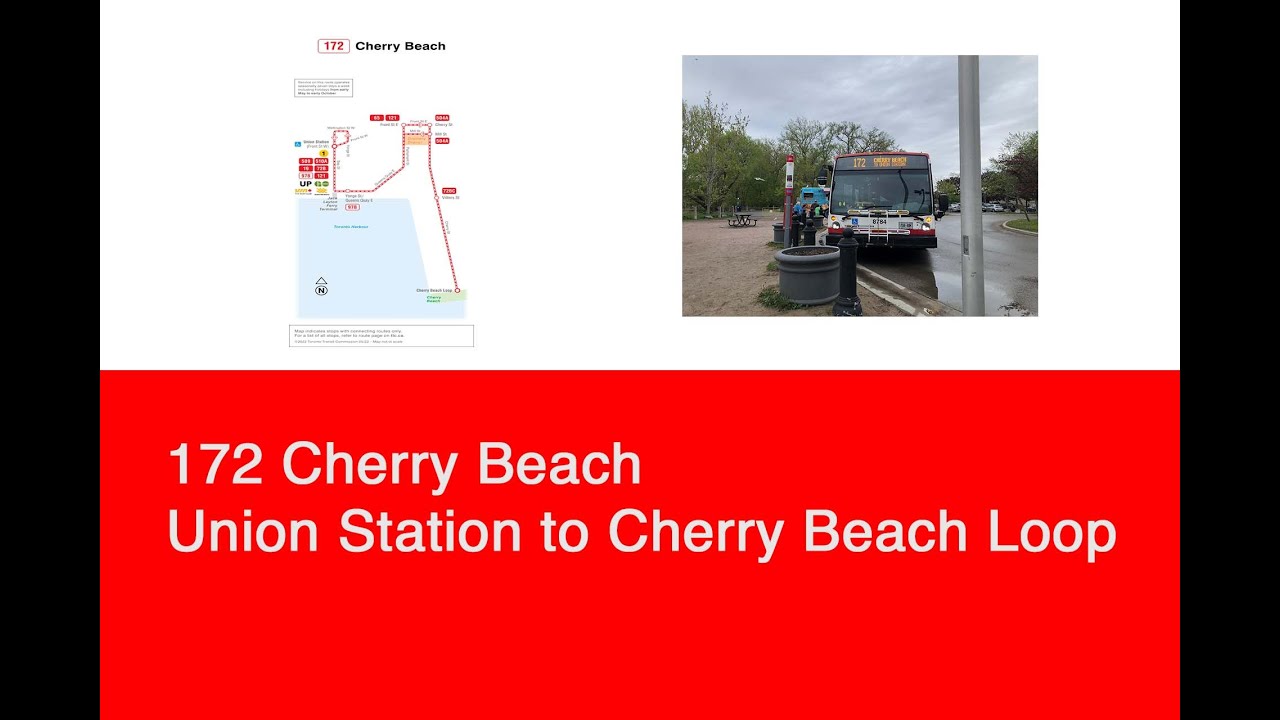TTC 172 Cherry Beach (Union Station to Cherry Beach Loop) | 2017 NovaBUS LFS 8784
