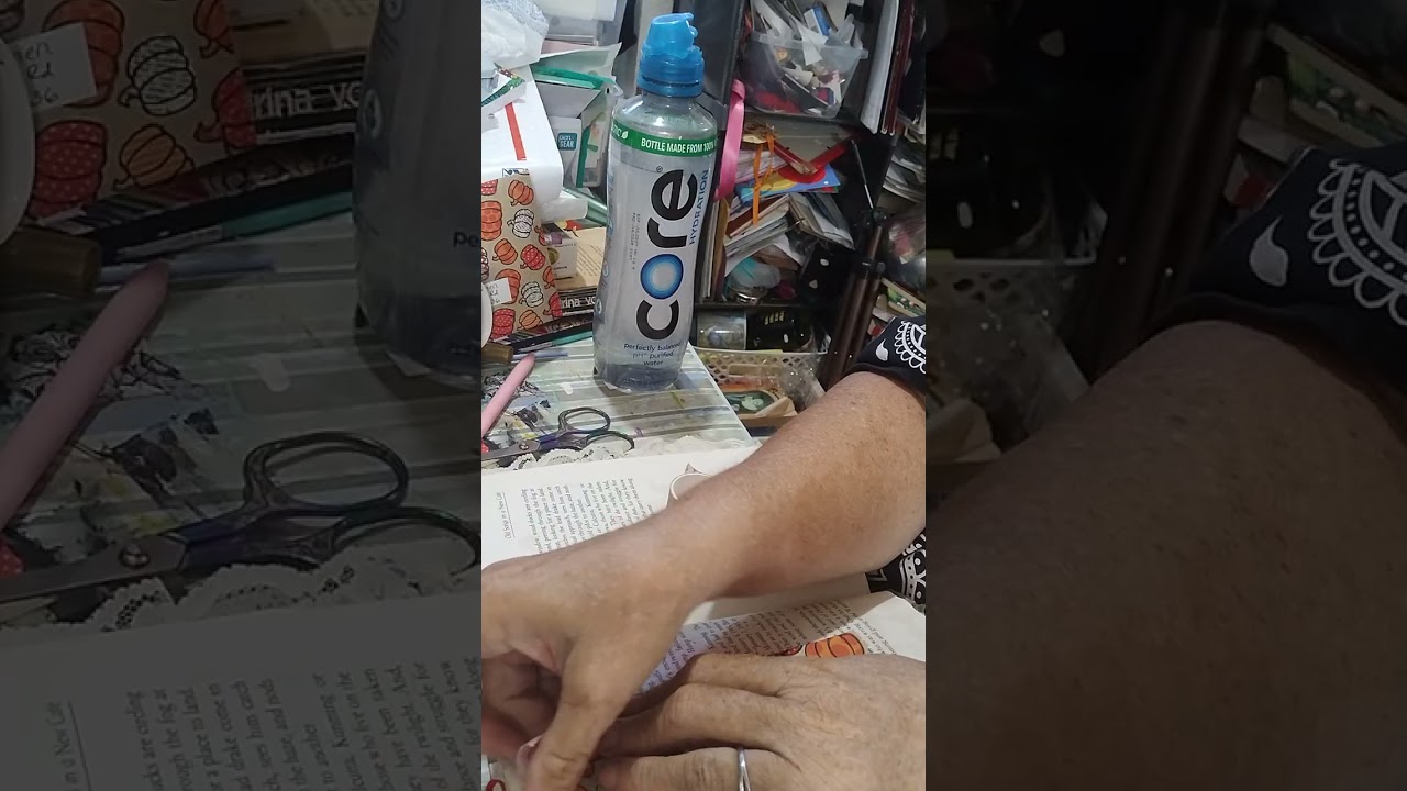 Anything goes junk Journal #63 