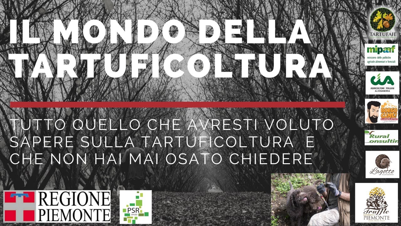 36. Il mondo della tartuficoltura