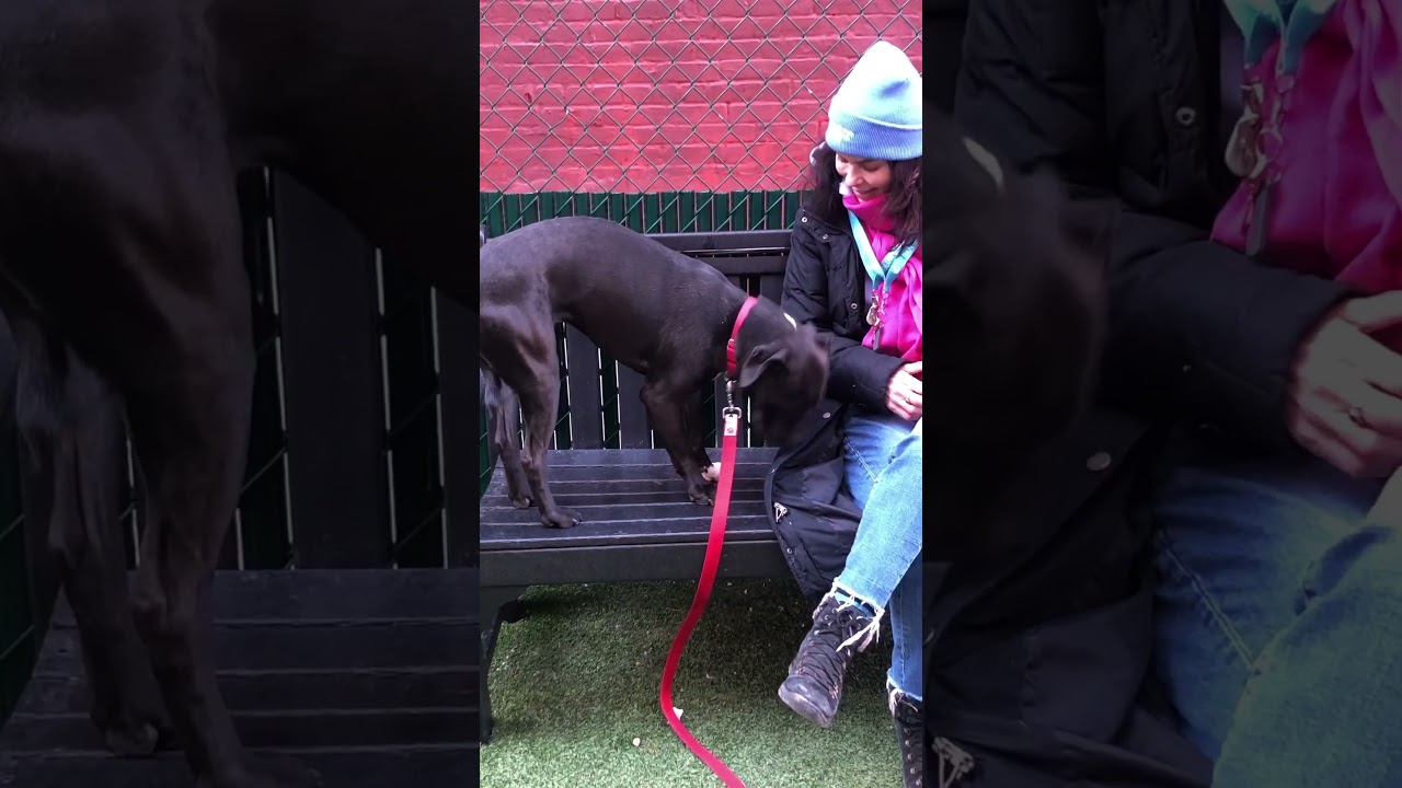Playtime for Mangus 218401